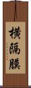 横隔膜 Scroll