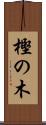 樫の木 Scroll