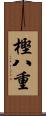 樫八重 Scroll