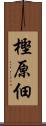 樫原佃 Scroll