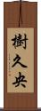 樹久央 Scroll