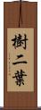 樹二葉 Scroll