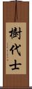 樹代士 Scroll