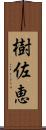 樹佐恵 Scroll