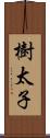 樹太子 Scroll