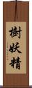 樹妖精 Scroll