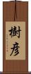 樹彦 Scroll