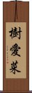 樹愛菜 Scroll