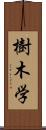 樹木学 Scroll