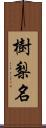 樹梨名 Scroll