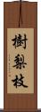 樹梨枝 Scroll