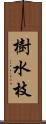 樹水枝 Scroll