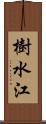 樹水江 Scroll
