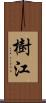 樹江 Scroll