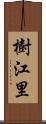 樹江里 Scroll