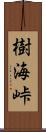 樹海峠 Scroll
