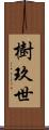 樹玖世 Scroll