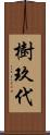樹玖代 Scroll
