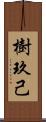 樹玖己 Scroll