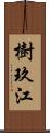 樹玖江 Scroll