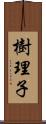 樹理子 Scroll
