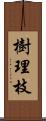 樹理枝 Scroll