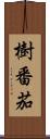 樹番茄 Scroll