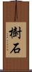樹石 Scroll