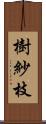 樹紗枝 Scroll