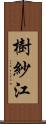 樹紗江 Scroll