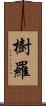 樹羅 Scroll