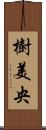 樹美央 Scroll