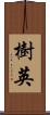 樹英 Scroll
