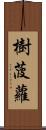 樹菠蘿 Scroll