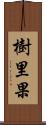 樹里果 Scroll