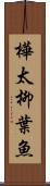 樺太柳葉魚 Scroll