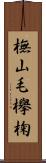 橅 Scroll
