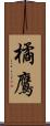 橘鷹 Scroll