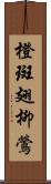 橙斑翅柳鶯 Scroll