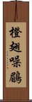 橙翅噪鶥 Scroll