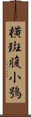 橫斑腹小鴞 Scroll