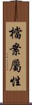 檔案屬性 Scroll