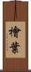 檜葉 Scroll