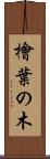檜葉の木 Scroll