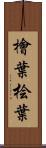 檜葉 Scroll