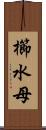 櫛水母 Scroll