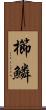 櫛鱗 Scroll