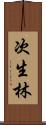 次生林 Scroll