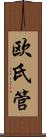 欧氏管 Scroll