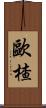 歐楂 Scroll